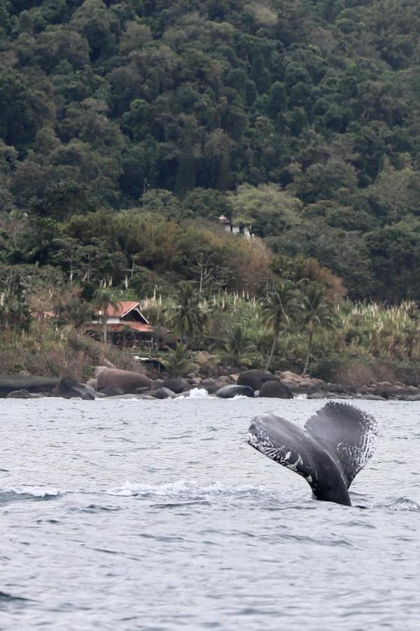 Willa Sol-Lua Bangalo Com Uso Exclusivo Da Piscina Ilhabela Zewnętrze zdjęcie